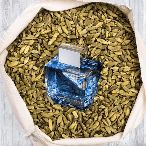 Perfume Blue Seduction Men Edt