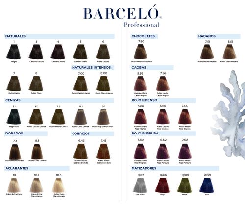 Tinte Barceló Tonos Rojizos