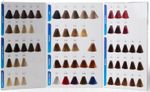 carta_color_sebelys