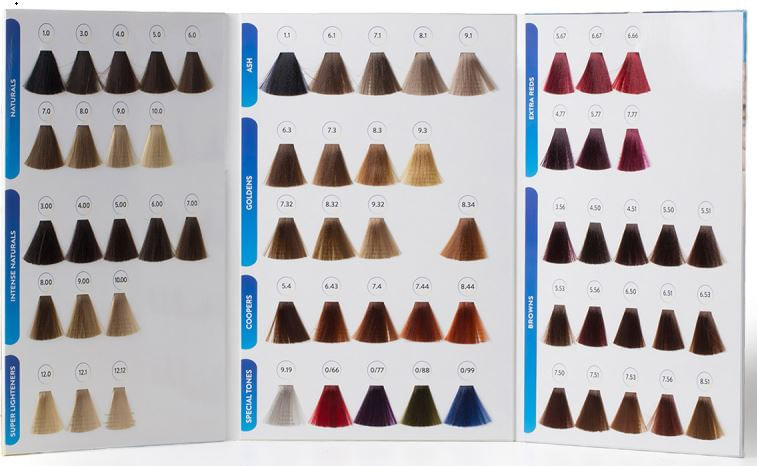 carta_color_sebelys