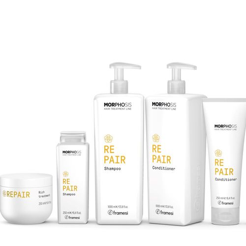 Tratamiento Morphosis Repair Rich 250ml