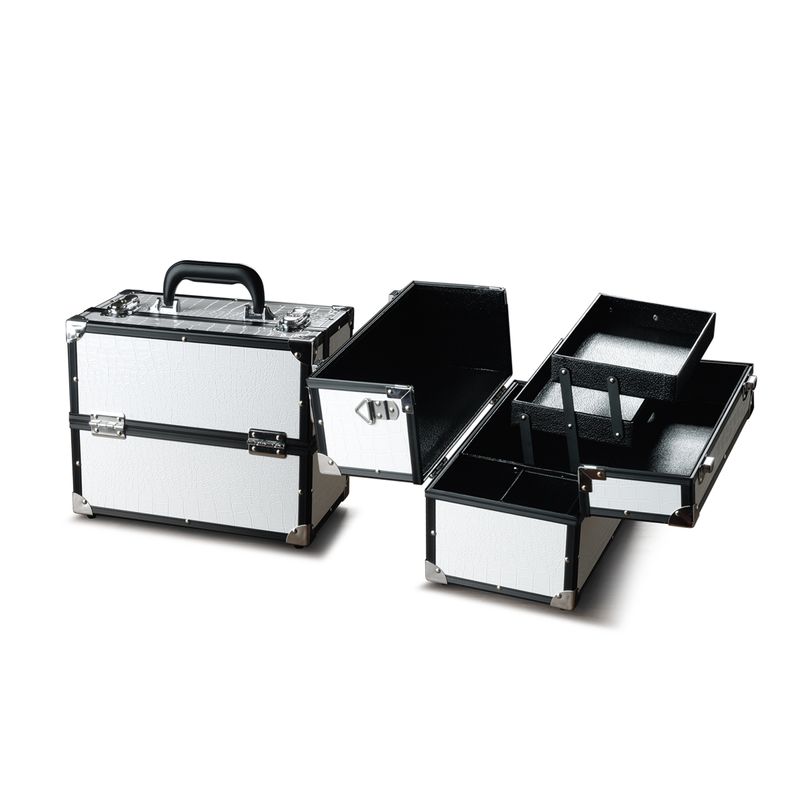 76389-CAJA-DE-MAQUILLAJE-PEQUEÑO-SALON-EXPERT-PLATEADO