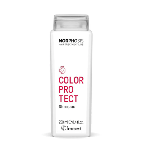 Shampoo Morphosis Color Protect 250ml