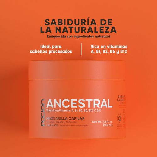 Mascarilla Ancestral La Poción Reparación 350ml