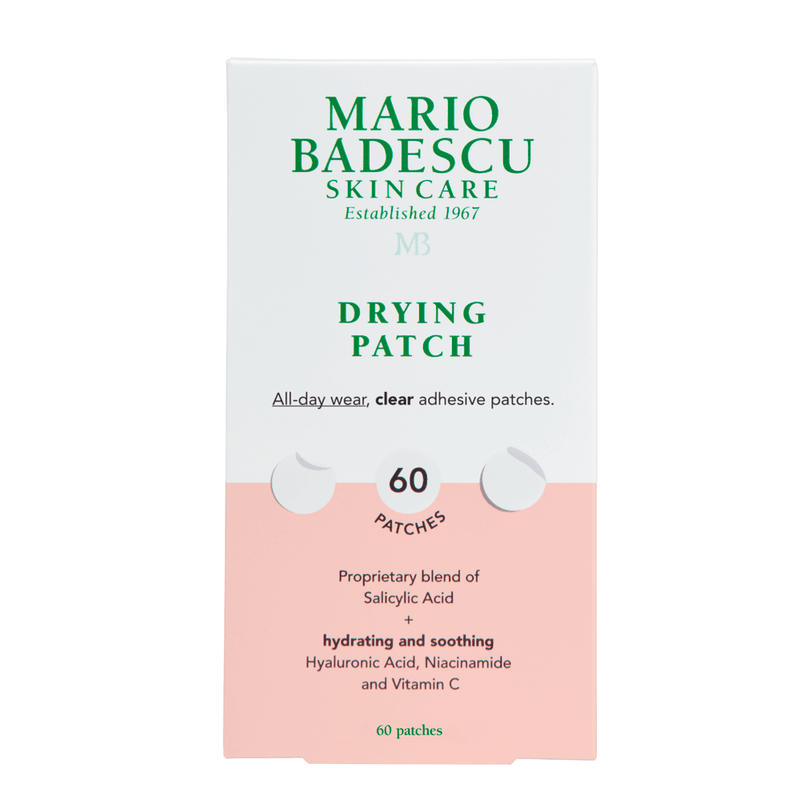 MARIOBADESCUDRYINGPATCH